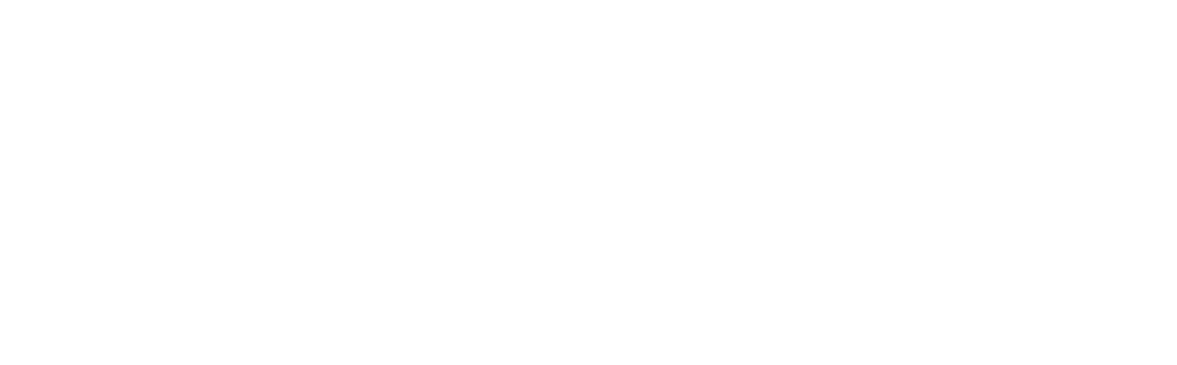 Logo Nalcar
